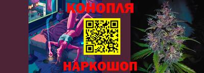 стаф Донской