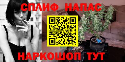 стаф Донской
