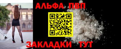 стаф Донской