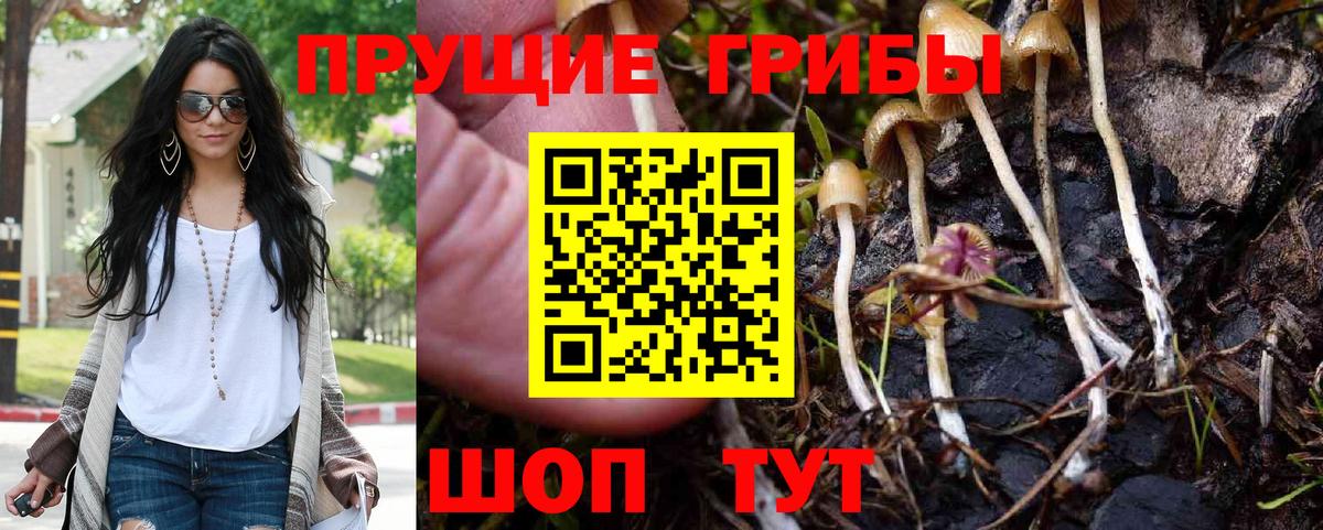 магазин продажи наркотиков  Псилоцибиновые грибы Cubensis  Вход с VPN  Лениногорск 